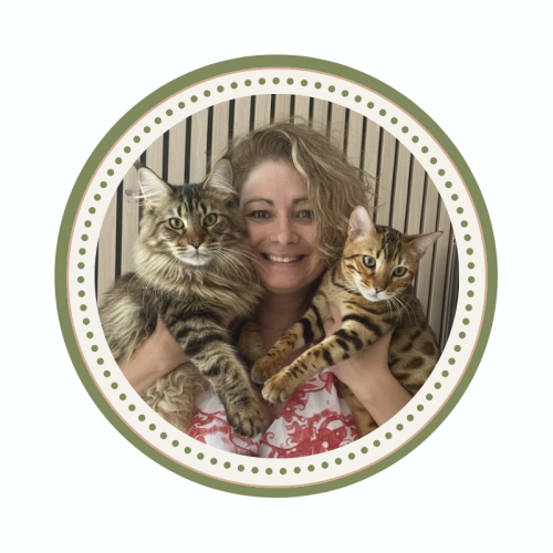 Stéphanie Keuftérian Créatrice de Ch'adore Arbre à chat en bois design unique de qualité
