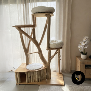 Arbre à chat Maine coon ou gros chat CH'ADORE n°11. création unique artisanal en bois