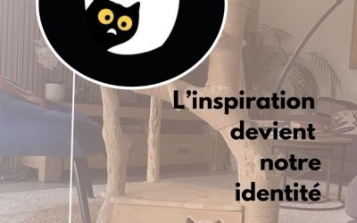 Du regard d’un félin à une identité unique : l’histoire de notre logo