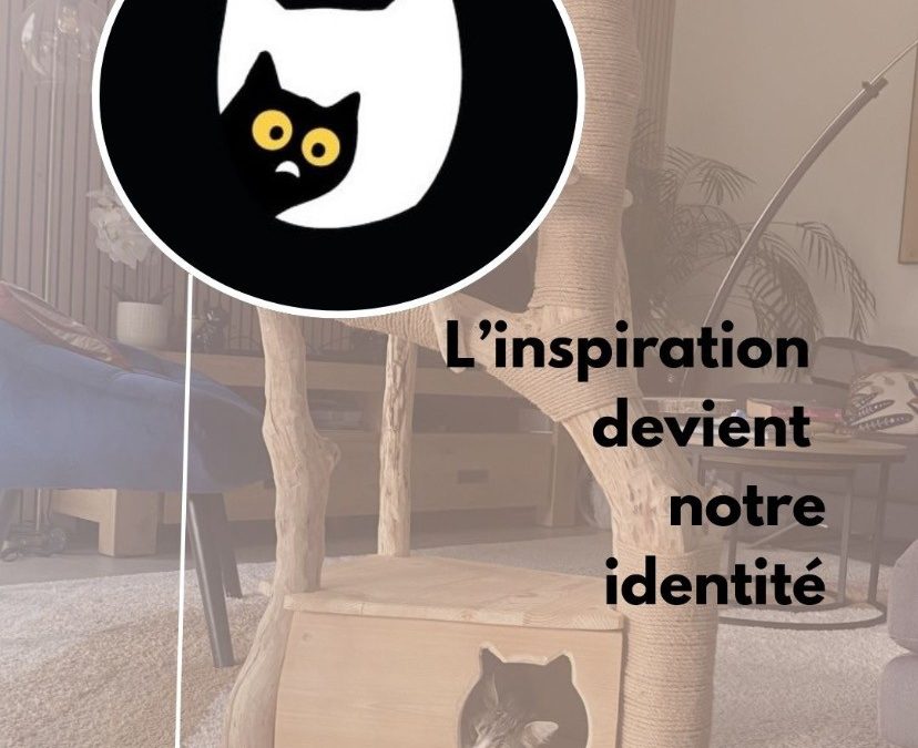Du regard d’un félin à une identité unique : l’histoire de notre logo
