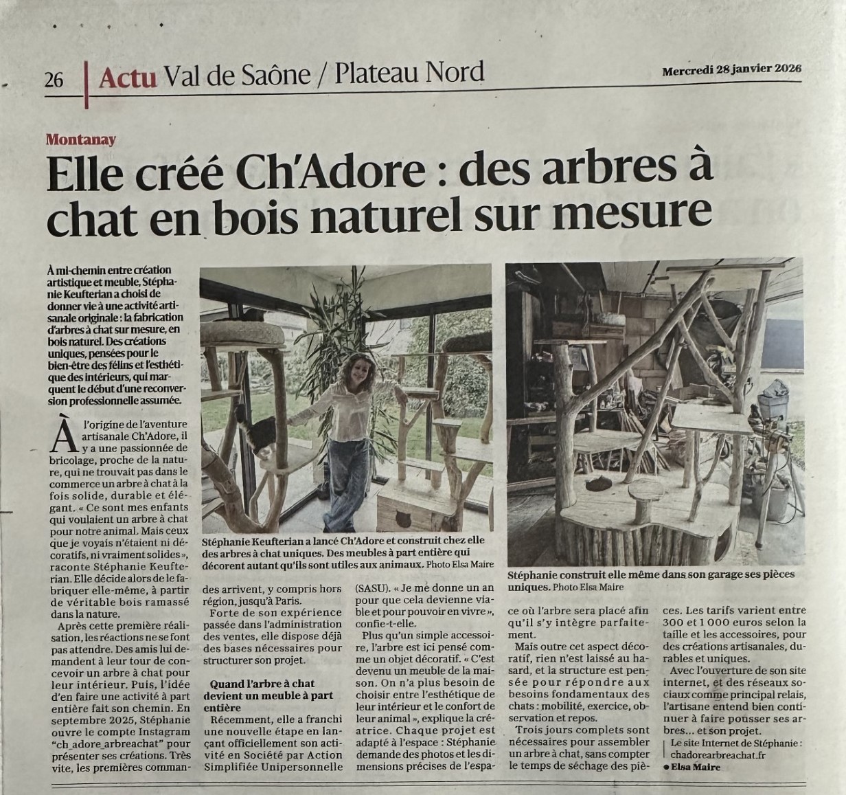 Ch'adore arbre à chat design en bois unique original durable stable solide xxl géant journal Le Progres Lyon maine coon bengal birman ch'adore arbre à chat design en bois, est dans un article du journal le Progres à Lyon. On parle de son artisanat français original et durable, des arbres uniques, de qualité, solides, stables et lourds, fait sur mesure, XXL, géant, pour gros chat ou chat de race ou maine coon, bengal, birman ou gros chat