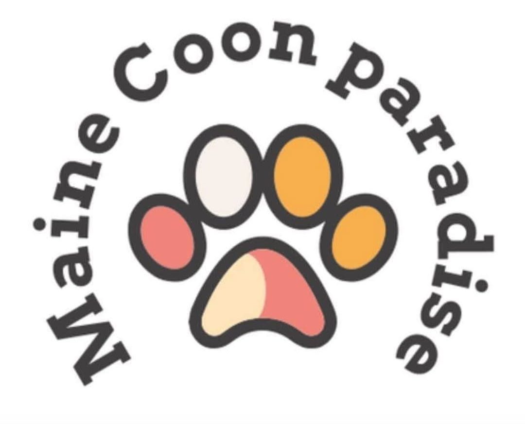 logo Maine Coon Paradise est partenaire de CH'adore arbre à chat design en bois lyon main coon xxl géant stable artisanat france Maine Coon Paradise est partenaire de CH'adore arbre à chat design en bois lyon main coon xxl géant stable artisanat france