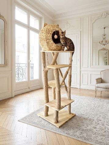 Chadore-arbre-a-chat-en-bois-design-n°19-Bengal-Birman-Gros-chat-de-race-Beige-original-durable-naturel-solide-stable-luxe décoratif.jpg