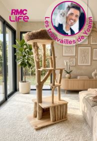 Arbre à Chat Ch'Adore n°13 en bois design paru sur RMC life dans  les trouvailles de Yoann dans l'hebdo des animaux. Arbre à chat en troncs d'arbre sur mesure qui sent bon la foret