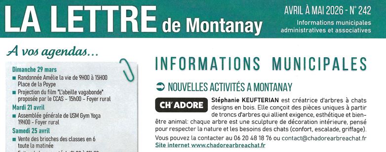 Ch Adore arbre à chat décoratif et design en bois unique dans La lettre de Montana Article sur Ch'ardore arbre à chat décoratif