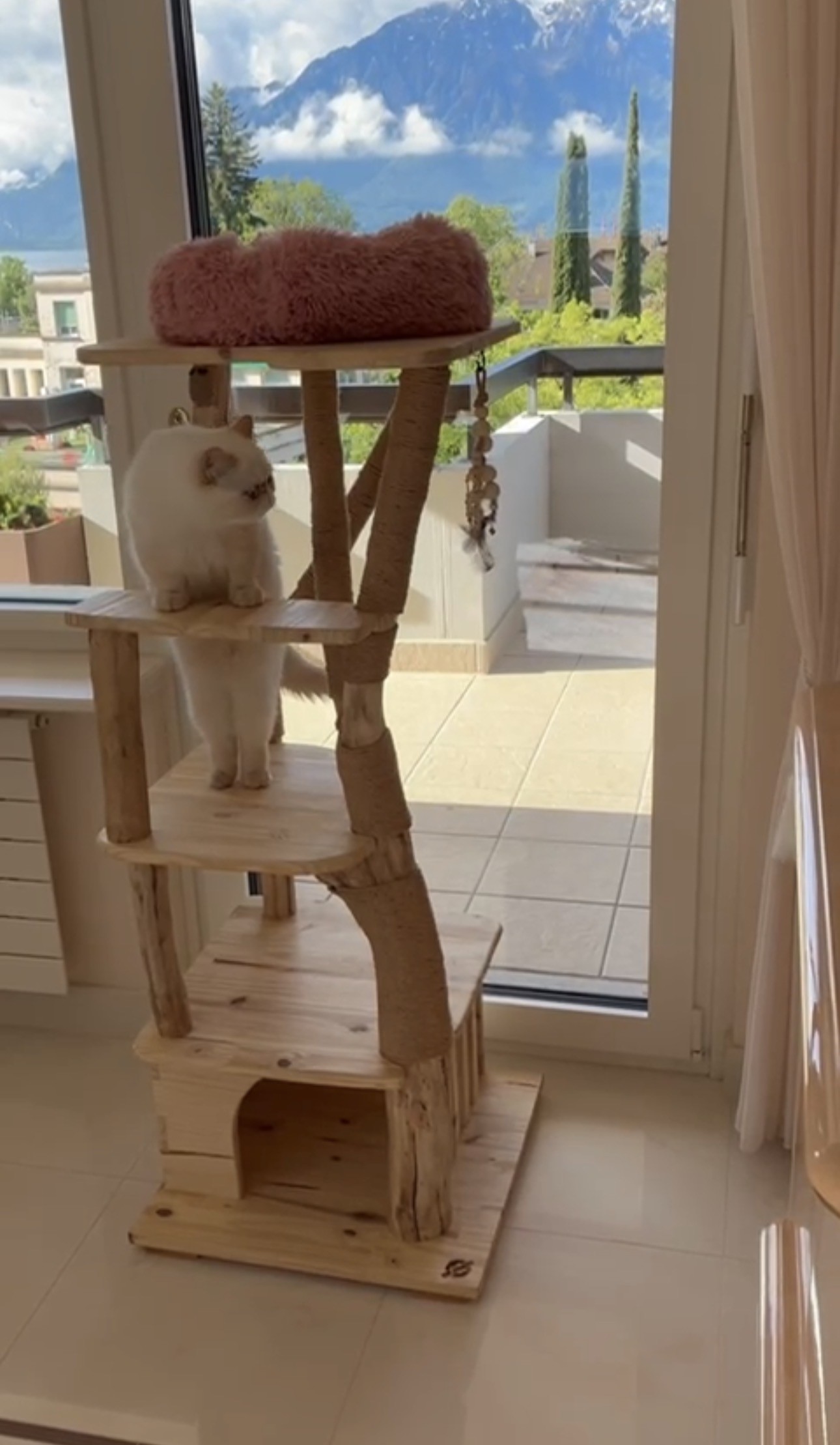 CH'ADORE Arbre à chat Persan Bois Design Tronc d'Arbre Artisanal Unique Fait Main Durable Qualité