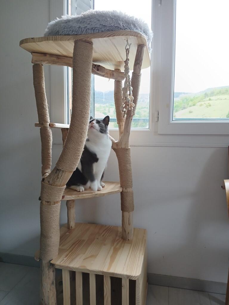 Ch'adore arbre à chat design en bois adopté par Cocco 