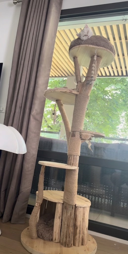 CH'ADORE Arbre à chat British Bois Design Tronc d'Arbre Artisanal Unique Fait Main Durable Qualité Stable n°26