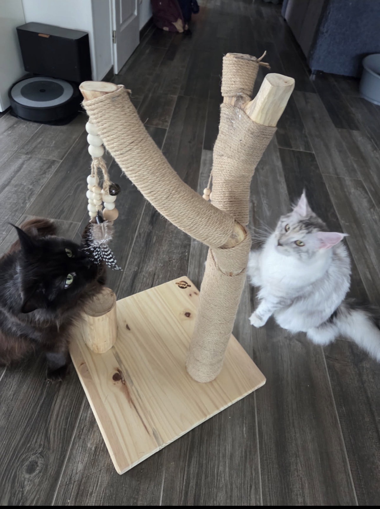 Ch’adore Arbre à chaton Maine coon design en bois décoratif n°23 naturel tronc d’arbre artisanal fait main durable nurserie sur mesure