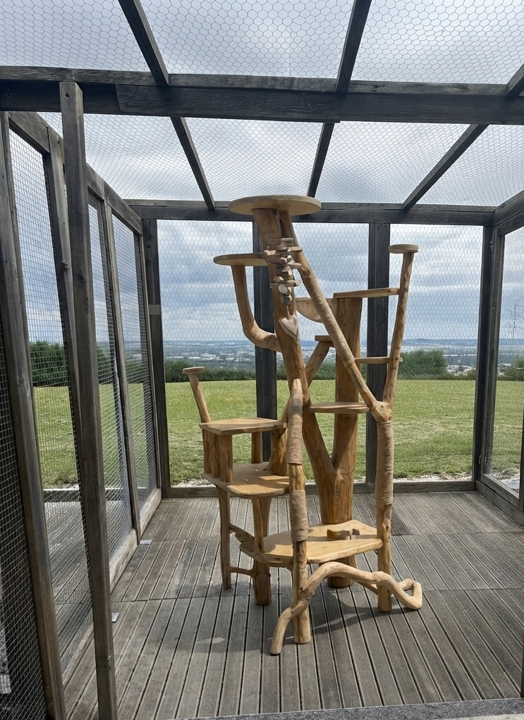 un arbre à chat d'extérieur Ch'ADORE en bois design durable lourd stable décoratif , luxe Lyon British