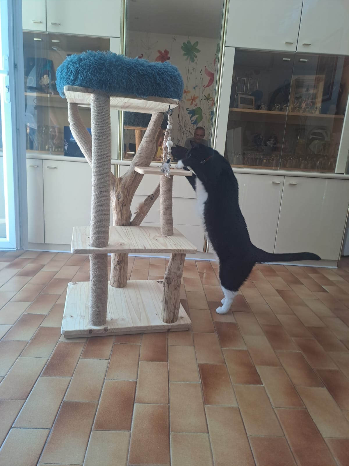 arbre à chat n°40 CH'ADORE avec un gros chat noir qui grimpe dessus