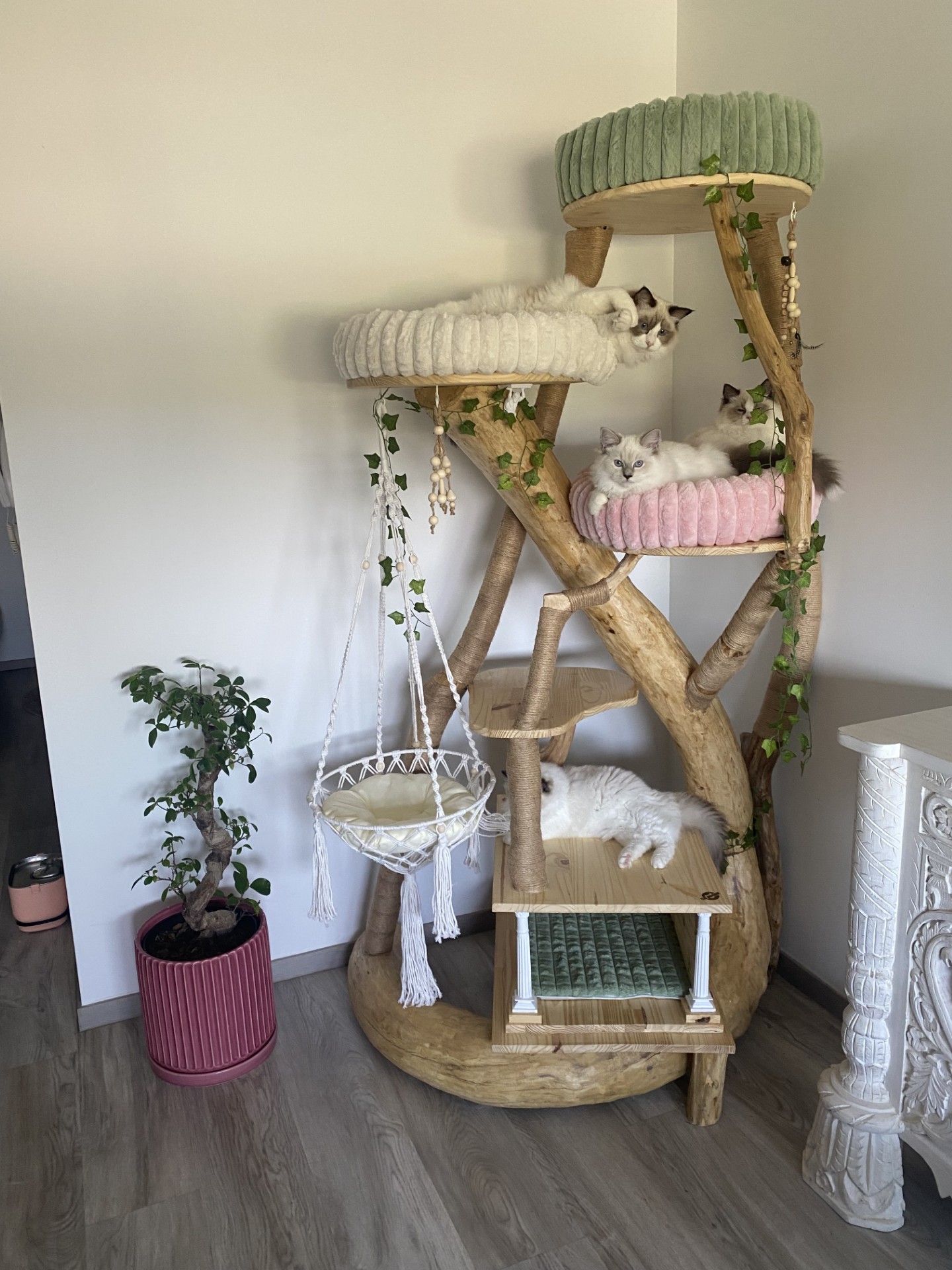 Arbre à chat CH'Adore design en bois unique fait main n°42 pour ragdoll
