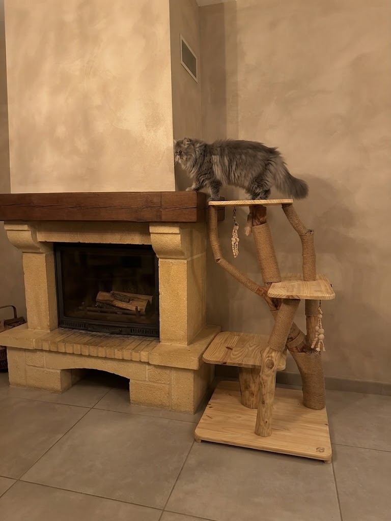 arbre à chat CH'ADORE avec un persan dessus n° 41