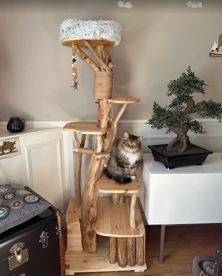 Arbre à chat CH'Adore design en bois unique fait main n°9