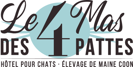 logo le Mas des 4 pattes Hotel pour chat et élevage Maine-coon