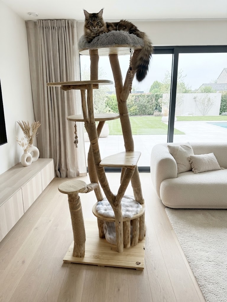 Arbre à chat CH'ADORE artisanal en bois avec un croisé maine coon