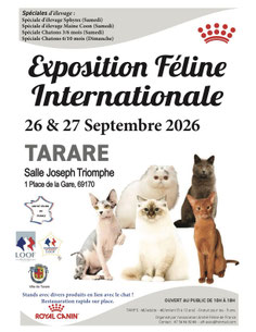 Affiche d'exposition féline internationnal organisé par l'amitié féline de France auquel participe CH'ADORE arbre à chat