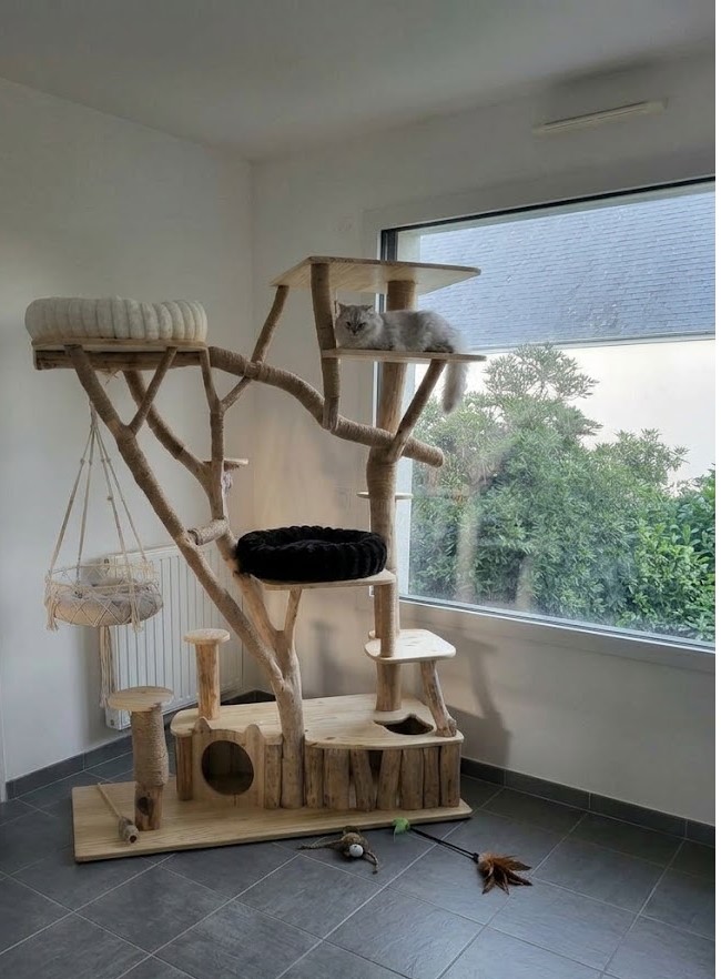 ARbre à chat CH'ADore n°53 en bois design pour MAine Coon et Bengal