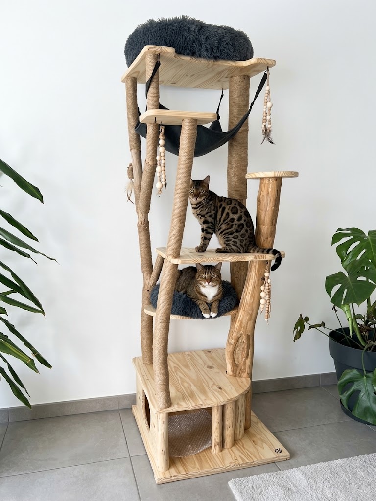 Arbre à chat bengal CH'ADORE n°48. création unique artisanal en bois